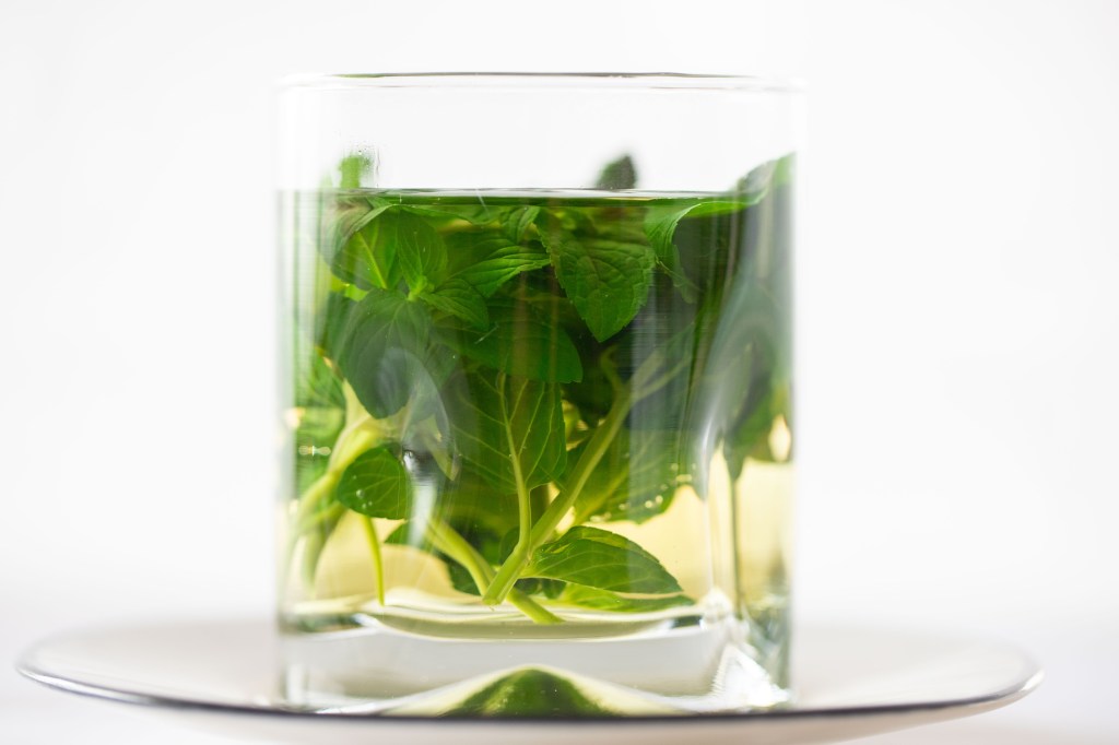 A clear glass of mint tea, stuffed with fresh mint, against a white background on a saucer. (photo by Tracy Isaacs)