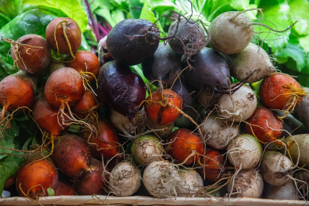 Stack of different coloured beets gathered on a shelf, root-side to the front, greens visible at the top.