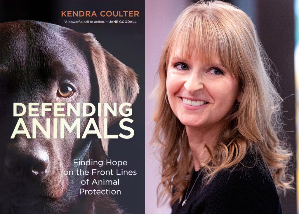 Split image with book cover of Defending Animals on the right, depicting a photo of a portion of a dog's face, one eye looking straight into the camera, head shot of the author to the left of the book cover -- a smiling woman with long hair. Photo of the author and processing to create split by Tracy Isaacs