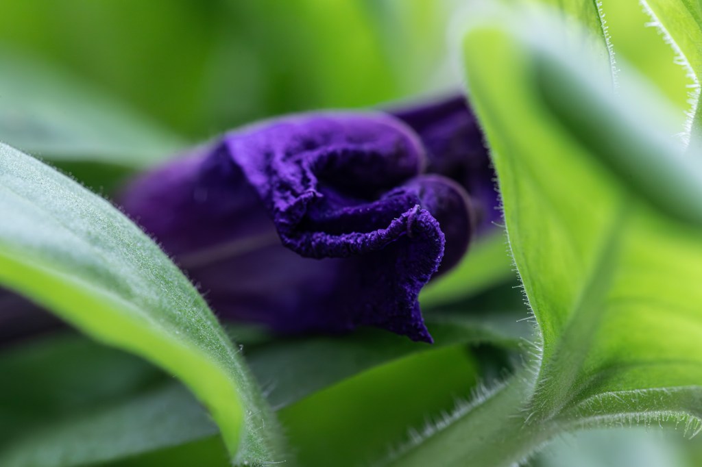 How compelling are ethical reasons?