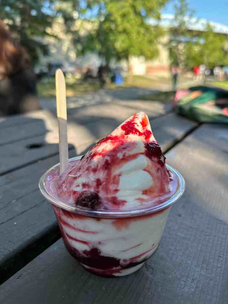 Close up of a vegan soft serve berry sundae from Eva's, wooden spoon set in it, placed on a picnic table, blur of tree, clouds and blue sky in the background . Photo by Tracy Isaacs