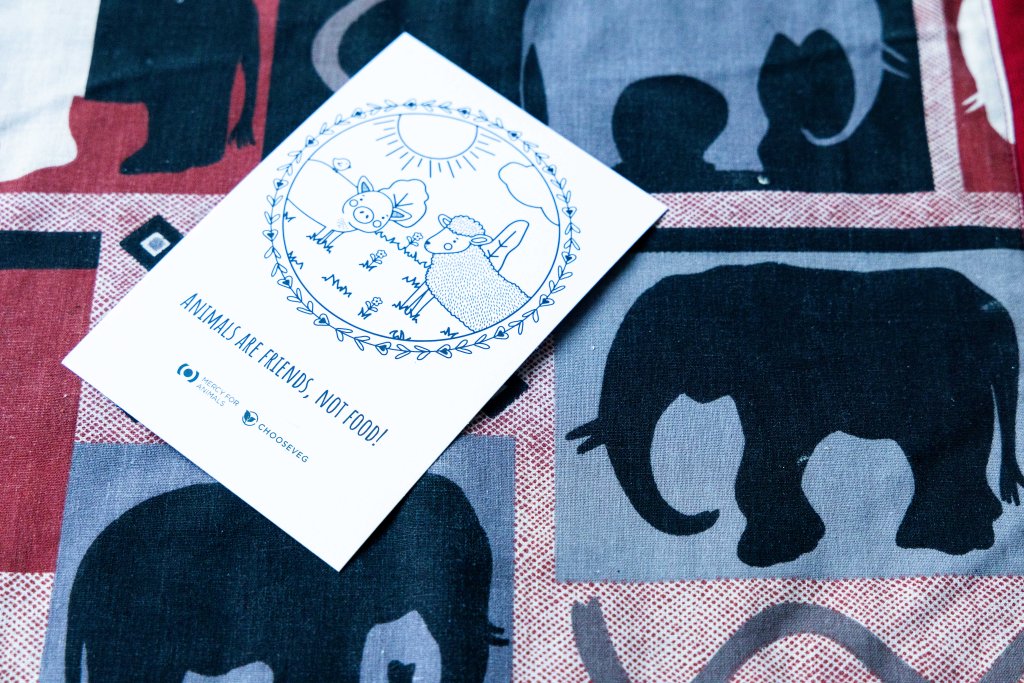 Postcard of a drawing of a pig and sheep, with the words "Animals are friends, not food!" written underneath. Card is on a background of fabric with an elephant pattern. Photo by Tracy Isaacs