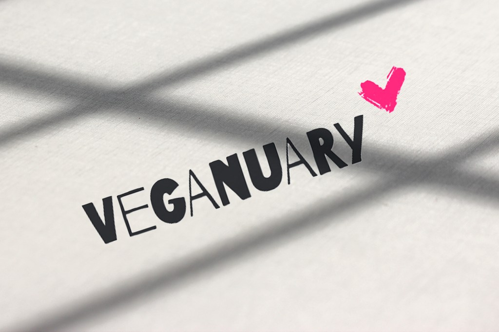 Abstract photo of shadows and lines with the Veganuary logo of "VEGANUARY" and a heart overlaid. Photo by Tracy Isaacs. Logo from the Veganuary website.