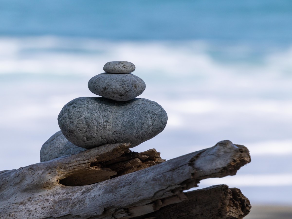Meditation for vegans