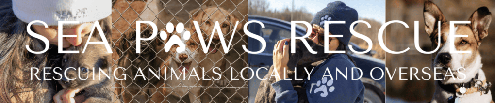 A montage of images showing humans and rescued dogs, with the text "SEA PAWS RESCUE: RESCUING ANIMALS LOCALLY AND OVERSEAS." Image from the RaceRoster website Sea Paws fundraising page for the Constantine Yorkville 5K Run.